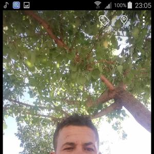 night38 - date a Australian, 100% free night38