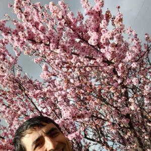 m1985mmm - date a Australian, 100% free m1985mmm