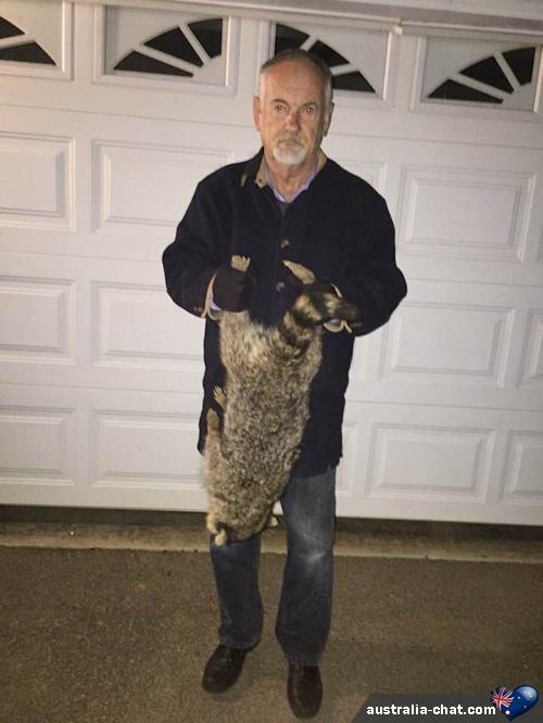 loernj - date a Australian, 100% free loernj